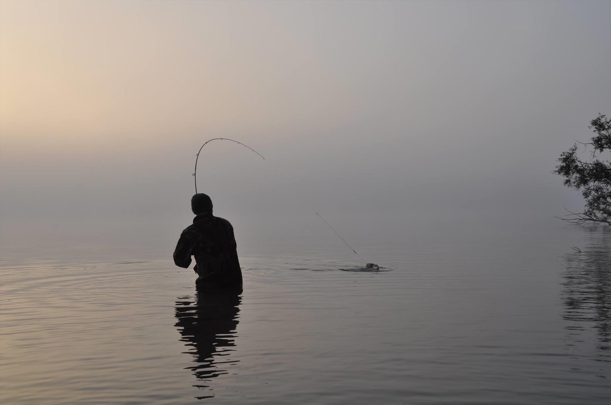 DIFERITE - 126551651785193496146438720391o.jpg